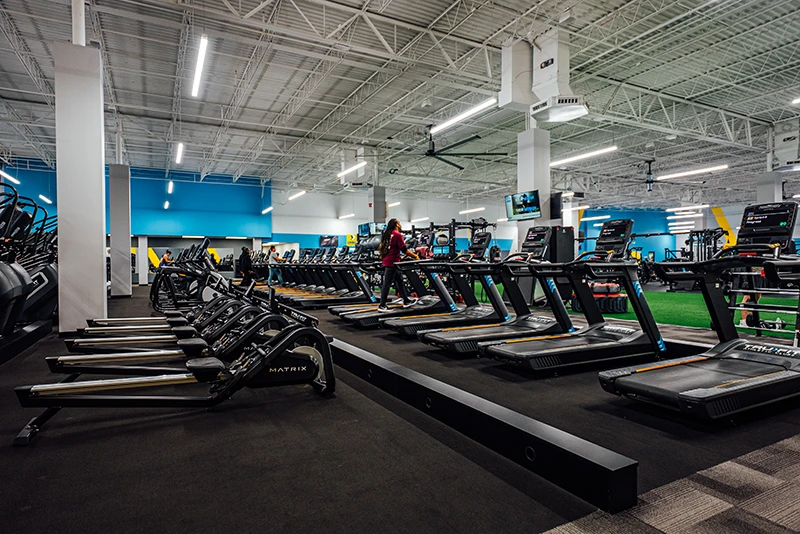Cardio & Treadmills